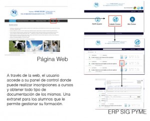 cursos